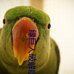綠巨人破解版