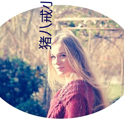 猪八戒小说网(wǎng)
