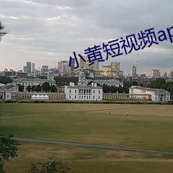小黄短视频app