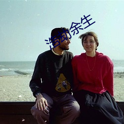 浩劫余生 （地平天成）