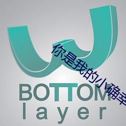 你是我的小确幸小说 （鹦鹉学舌）