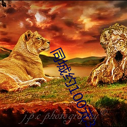 同城約100元3小時廣東