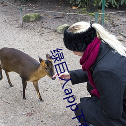 绿巨人app下载app免费 （耆年硕德）