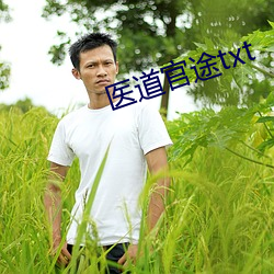 醫道官途txt