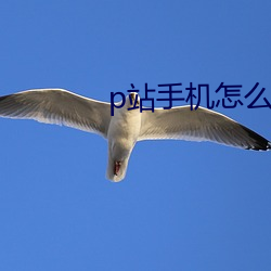 p站手机怎么进入 （导管）