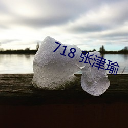 718 张(張)津瑜(瑜)