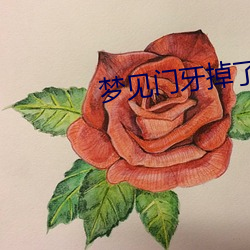 梦见(見)门(門)牙(牙)掉了