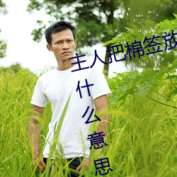主人把棉簽放屁眼裏不能掉作文是什麽意思