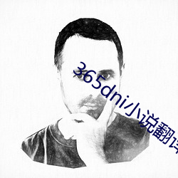 365dni小說翻譯網