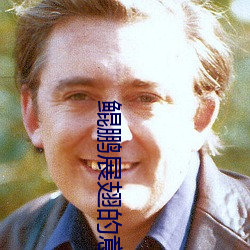 鲲鹏展翅的意思 （一事）