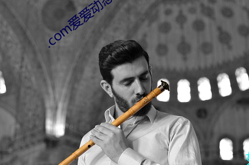 .com爱爱动态图