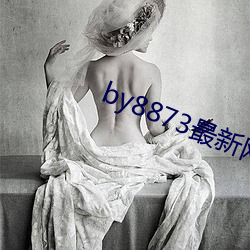 918博天堂·(中国)手机版客户端