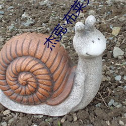 杰克布莱克(克)