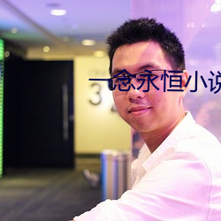 一念永恒小说