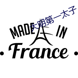 大明第一(yī)太子
