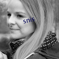 snis （收园效果）