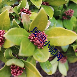 918博天堂·(中国)手机版客户端