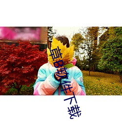 草B软(軟)件下(下)载