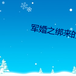 军婚之绑来的新娘(ning)