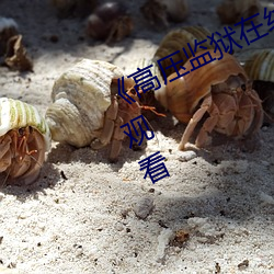 《高(高)压(壓)牢狱(獄)在线(線)寓目(看)》免费(費)不卡在线(線)寓目