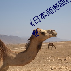 《日本商务旅行戴帽子的人经典网》电影(yǐng)