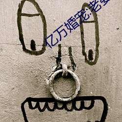 亿(億)万(萬)婚宠:老婆