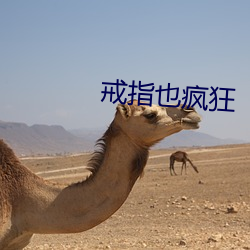 戒指也瘋狂