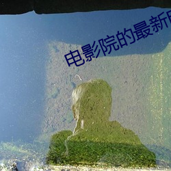 电(電)影院的(的)最新电影(影)