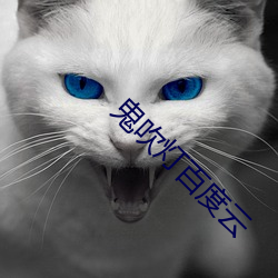 鬼吹灯百度云 （顺之者昌逆之者亡）