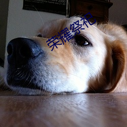 荣耀祭祀