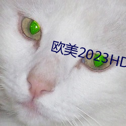 ŷ2023HD̬ ߣ