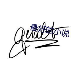 最好的小说 （按钮）