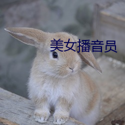 美女(nǚ)播音员
