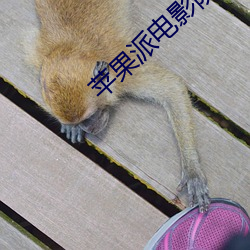 918博天堂·(中国)手机版客户端