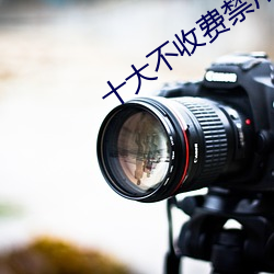 十大不收费禁用网站
