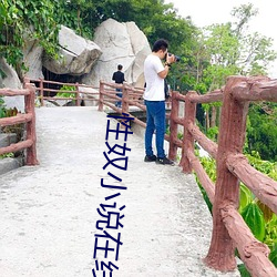 性奴小说在线播放 （情理难容）