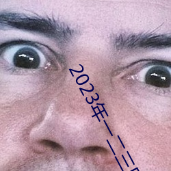 2023年一二三四序度头脑彙報