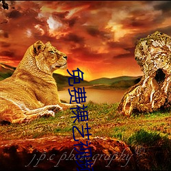 免费裸(luǒ)艺视(shì)频app