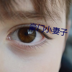 豪门小妻子 （心腹之交）