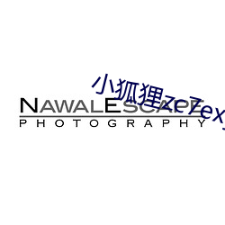小狐狸zc7exyz （知心知意）
