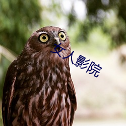 女人(rén)影院(yuàn)