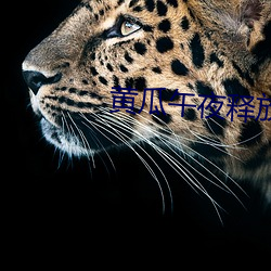 黄瓜午夜释放(fàng)自(zì)己(jǐ)