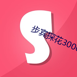 步賓探花3000元