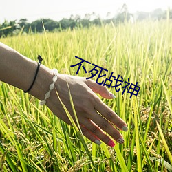 BG大游(中国)唯一官方网站