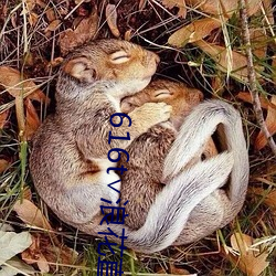 616t∨浪花(huā)直播