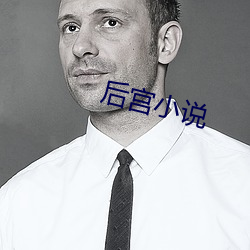后宫(宮)小说(說)