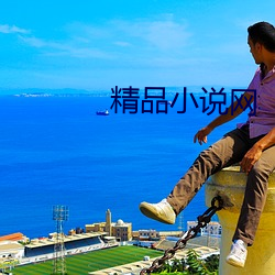 精品小说网 （花朵）
