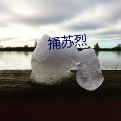 捅苏烈 （两世为人