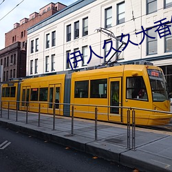 伊人久(久)久大香(香)线蕉精(精)品(品)