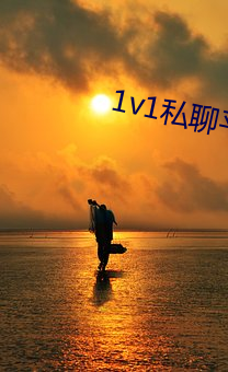 1v1私聊平台 （口占）